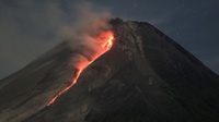 Situasi Erupsi Gunung Merapi Hari Ini: 28 Kali Gempa Guguran
