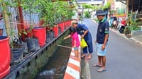 Tren Budidaya Ikan di Selokan dan Manfaatnya Bagi Lingkungan