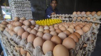 Harga Telur Ayam Naik, Bapanas Buat Program Bantu Peternak