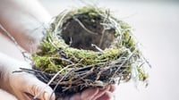 Tanda-tanda Empty Nest Syndrome dan Cara Mengatasinya