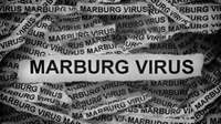 Virus Marburg Adalah Apa, 10 Gejala, Penularan, Cara Mencegahnya