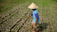 9 Kabupaten di Jawa Tengah Rawan Kekeringan Terdampak El Nino