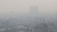 Apa Saja Indikator Pencemaran Udara?