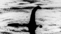 Apa Itu Monster Loch Ness, Misteri Makhluk di Danau Skotlandia