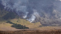Kebakaran Bukit Teletubbies Bromo Dipicu Pengunjung Bakar Flare
