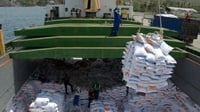 Pemerintah Akan Salurkan 10.000 Ton Beras untuk Warga Palestina