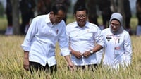 Jokowi Pastikan Stok Beras di Indonesia Aman