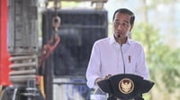 Presiden Jokowi Pamer Nilai Investasi IKN Sentuh Rp45 Triliun