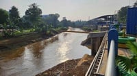 DKI Bentuk Satgas Sungai Ciliwung demi Pantau & Bersihkan Sampah