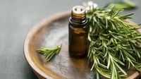 11 Rekomendasi Rosemary Oil yang Bagus untuk Rambut Rontok