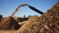 Mengapa Energi Biomassa Potensial di Wilayah Pedesaan?