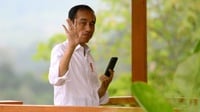 Jokowi Gelar Rapat Terbatas Penanganan Erupsi Gunung Ruang