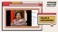 Hoaks Megawati dan Puan Mengiklankan Obat Nyeri Sendi dan Tulang