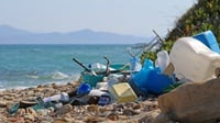Apa Itu Pulau Sampah Usulan Heru Budi & Dampak Bagi Lingkungan?