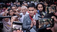 Dapat Restu Jokowi Maju Pilkada, Kaesang Pilih DKI atau Jateng?