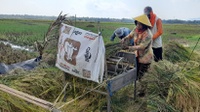 Sampah & Pencemaran Sungai yang Mengancam Pertanian di Bantul