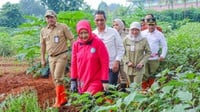 Memperkokoh Ketahanan Pangan Jakarta Lewat Urban Farming