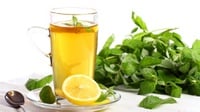 Mengenal Spearmint tea, Manfaat, dan Cara Mengonsumsinya