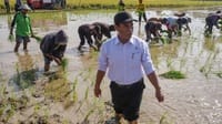 Isapan Jempol Sesumbar Mentan Kuatkan Rupiah dengan Hilirisasi