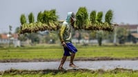 Swasembada Pangan ala Guyana, Bisakah untuk Indonesia?