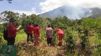 Kebakaran di Lereng Gunung Agung Padam, 146 Hektar Lahan Hangus