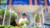 Berkat Pemberdayaan BRI, Petani Ini Berhasil Budidaya Alpukat