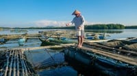 Dorong Pelaku UMKM Naik Kelas, BRI Telah Salurkan KUR Rp158,6 T