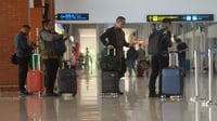 Daftar Barang Bebas Bea Masuk yang Berlaku Mulai 6 Juni 2025