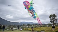Jogja International Kite Festival 2025, Kapan Dibuka & Jamnya?