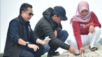 Menteri LH segera Setop Aktivitas Pengerukan Pasir di Pulau Pari