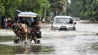 BPBD: 37 RT & 4 Ruas Jalan di Jakarta Masih Terdampak Banjir