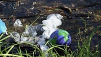 Marak Sampah Plastik Gelas, Market Leader AMDK Didesak Berbenah