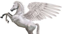 Mengenal Buraq, Hewan yang Ditunggangi Nabi saat Isra Miraj