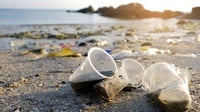 AMDK Gelas Plastik, Sampah Kecil yang Mencemari Lingkungan
