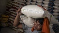 Serapan Bulog Tembus 2 Juta Ton, Stok Beras Capai 3,6 Juta Ton