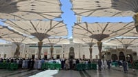 Jemaah Haji Diimbau Tak Kontak dengan Unta Cegah MERS-CoV