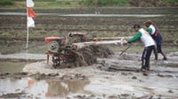 Nilai Tukar Petani Naik Tipis 0,07% di Mei 2025
