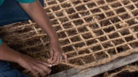 ANTAM Dukung Ekonomi Hijau dengan Inovasi Limbah Kelapa di Malut