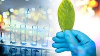 Apa Itu Monomer Biopolimer? Kegunaan, Jenis, dan Contohnya
