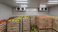 Cold Storage: Pengertian, Fungsi, & Jenis Layanan Penyimpanan