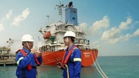 Sederet Aset CDIA Prajogo Pangestu: Ada Saham RATU hingga KIT
