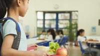 Daftar Hal Baru yang Dipelajari di Kantin & UKS Sekolah