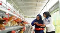 PNM Berbagi 240 Ekor Ayam untuk Bantu Ekonomi dan Pangan