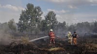 Satgas Udara Telah Tebar 10 Ton Garam Atasi Karhutla Riau