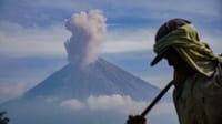 Update Erupsi Gunung Semeru Hari Ini: Berapa Kali Meletus?