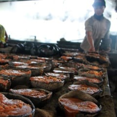 Ketergantungan Impor Gula Mentah & Ancaman bagi Industri Makanan