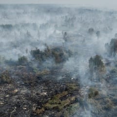 Adu Retorika Kabut Asap: Mengapa Singapura dan RI Saling Tuding?