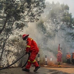 BMKG Juanda Deteksi 106 Titik Panas di Jatim, Waspadai Karhutla