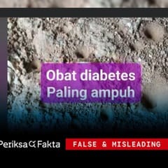 Salah, Mengonsumsi Undur-Undur Dapat Menyembuhkan Diabetes