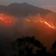TNGR: Luas Karhutla di Gunung Rinjani Mencapai 589 Hektare